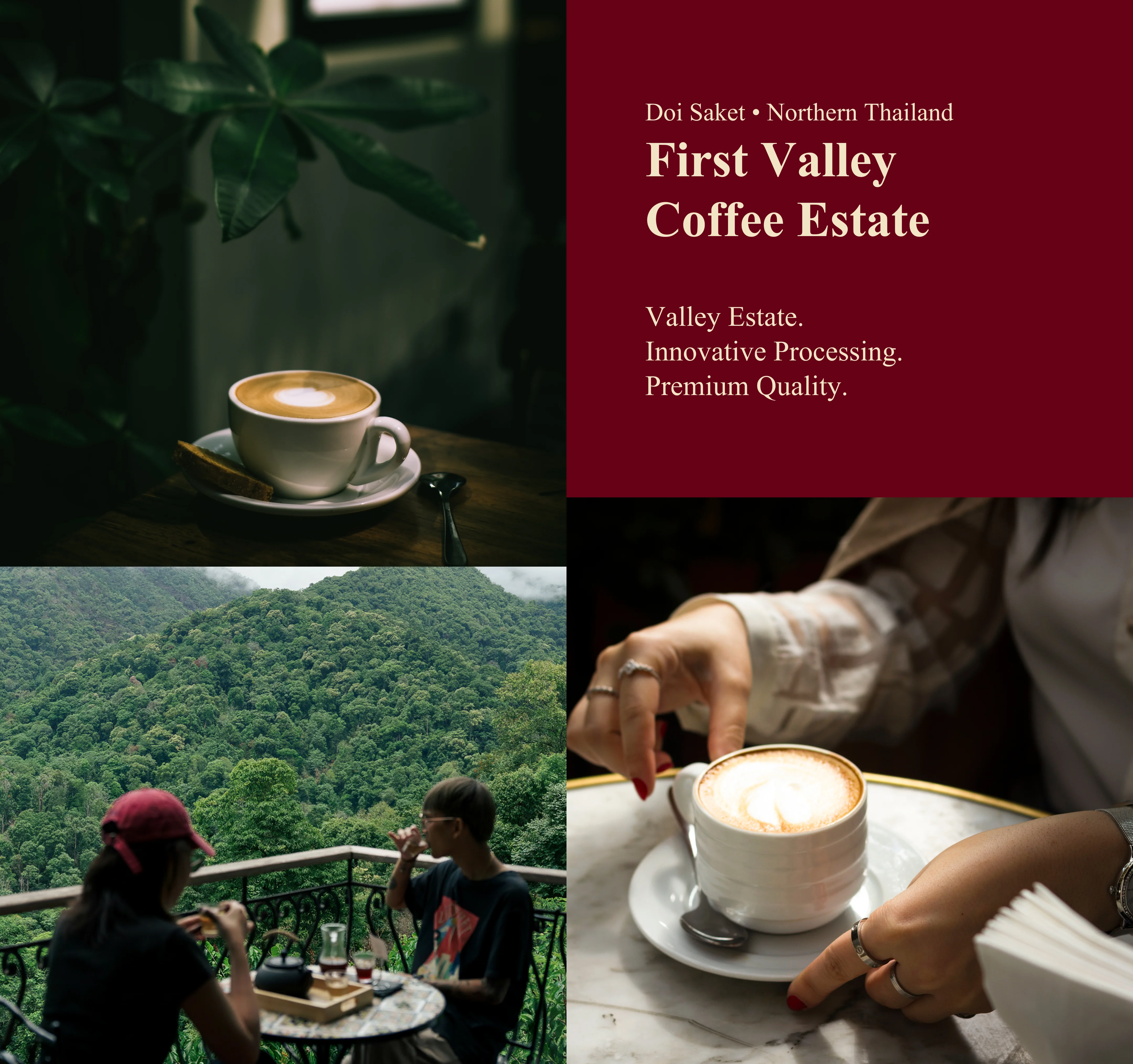 First Valley Coffee Estate - Valley Estate. Innovative Processing. Premium Quality.