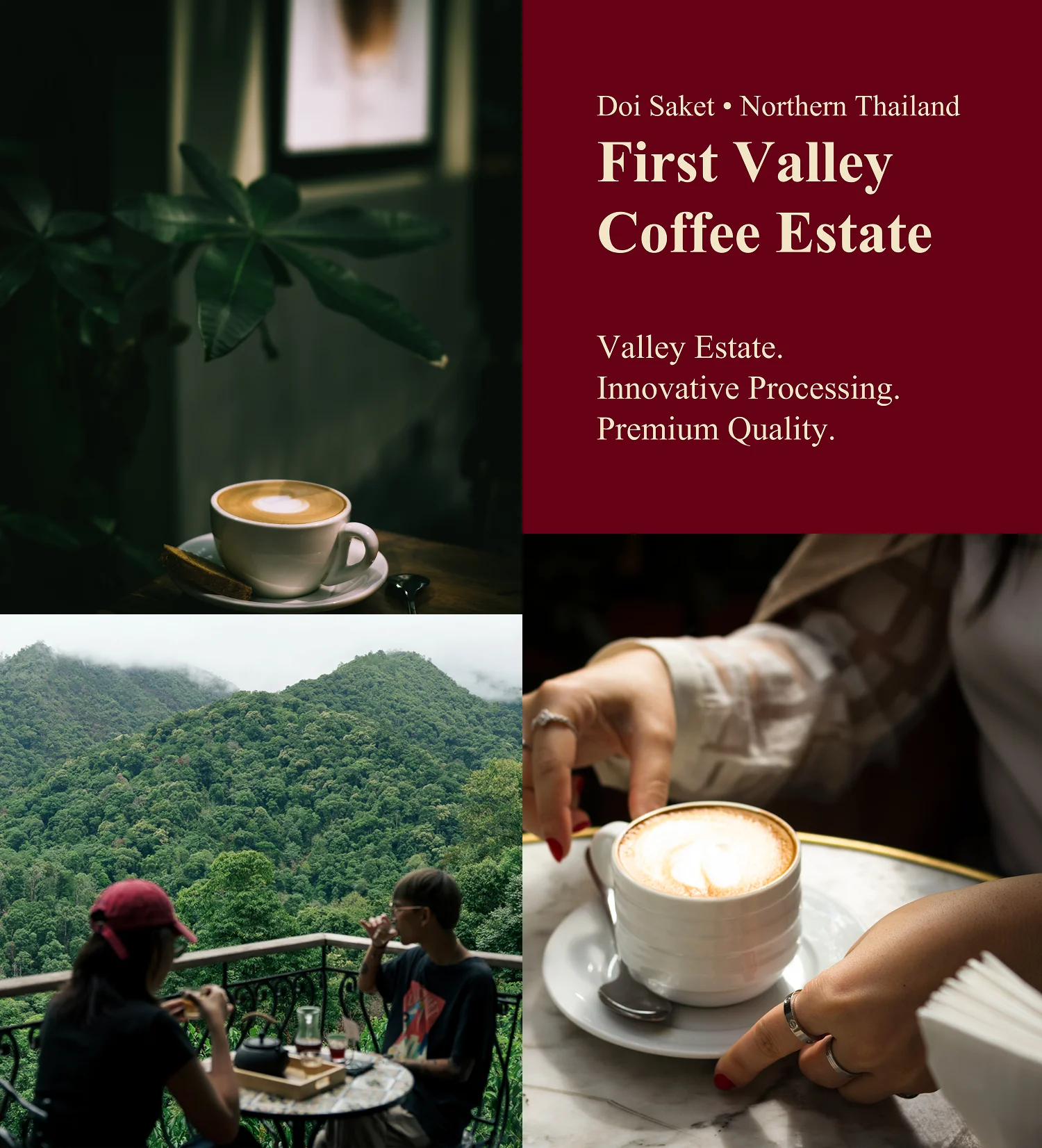 First Valley Coffee Estate - Valley Estate. Innovative Processing. Premium Quality.