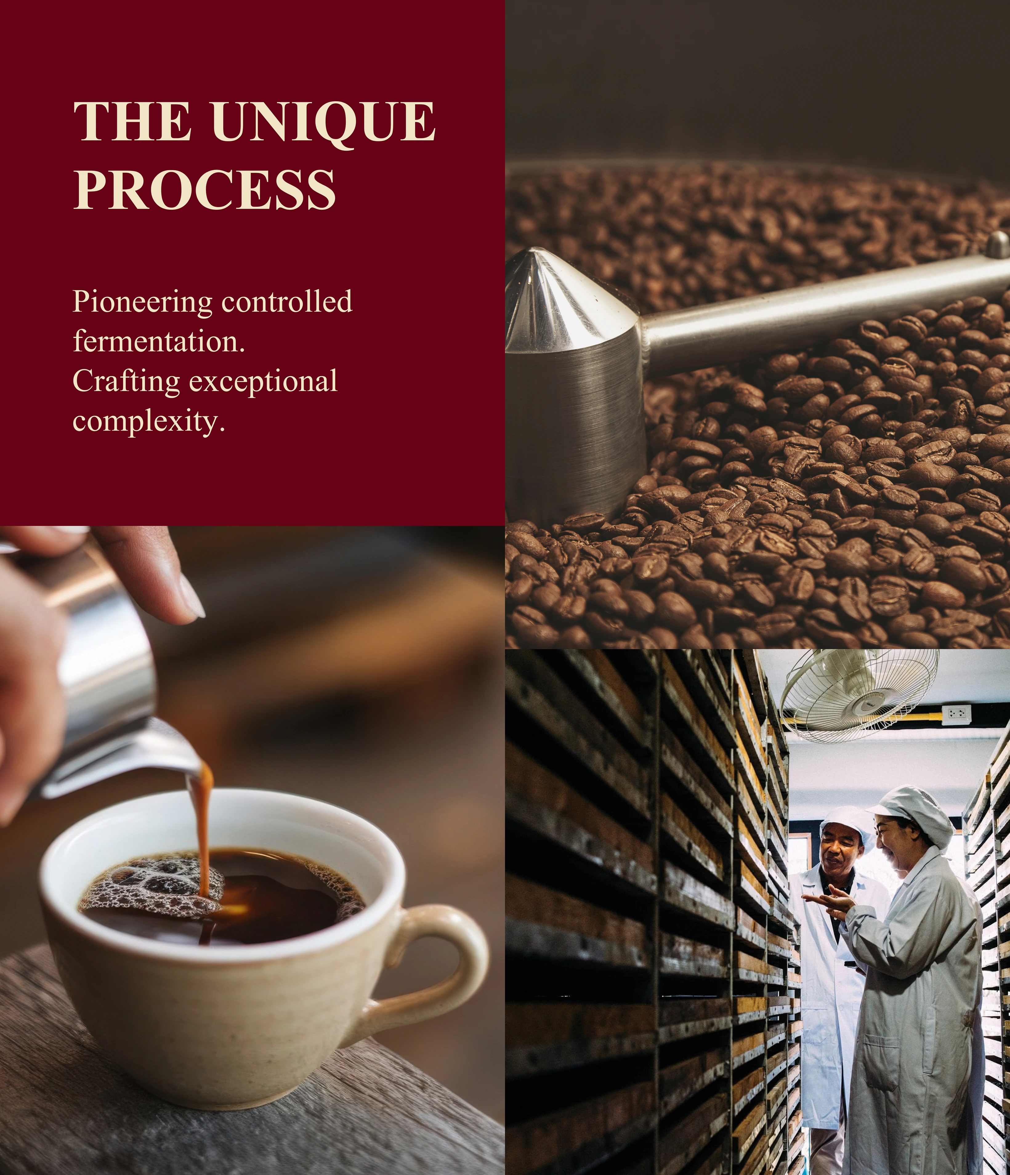 THE UNIQUE PROCESS - Pioneering controlled fermentation. Crafting exceptional complexity.