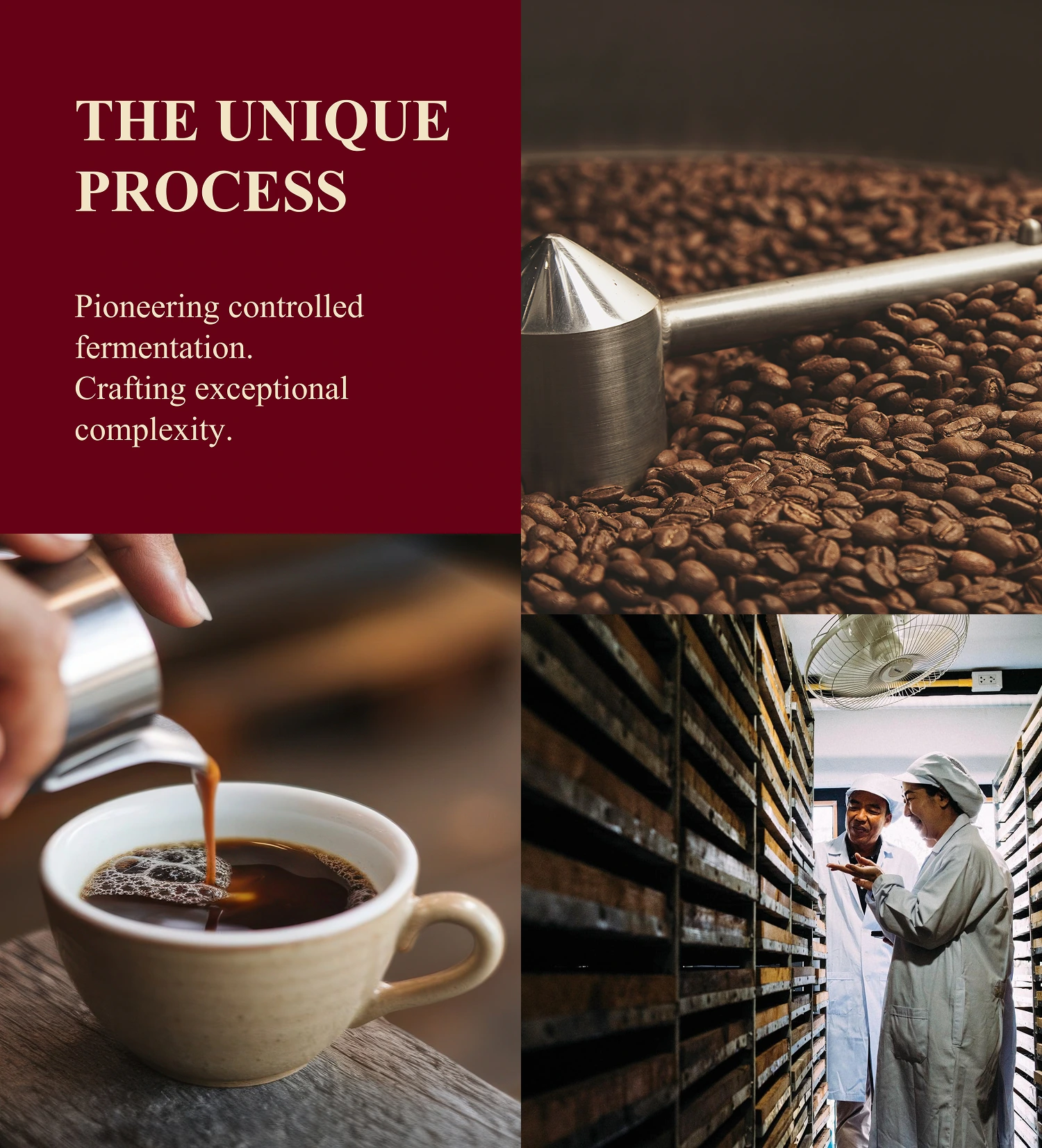 THE UNIQUE PROCESS - Pioneering controlled fermentation. Crafting exceptional complexity.